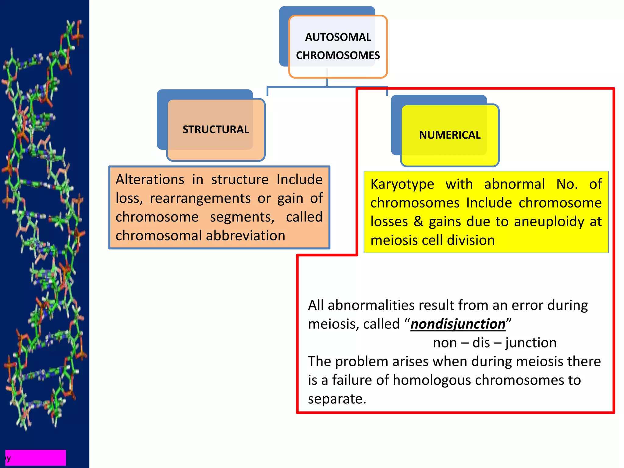 AUTOSOMAL
CHROMOSOMES
STRUCTURAL NUMERICAL
Alterations in structure Include
loss, rearrangements or gain of
chromosome segments, called
chromosomal abbreviation
Karyotype with abnormal No. of
chromosomes Include chromosome
losses & gains due to aneuploidy at
meiosis cell division
All abnormalities result from an error during
meiosis, called “nondisjunction”
non – dis – junction
The problem arises when during meiosis there
is a failure of homologous chromosomes to
separate.
 