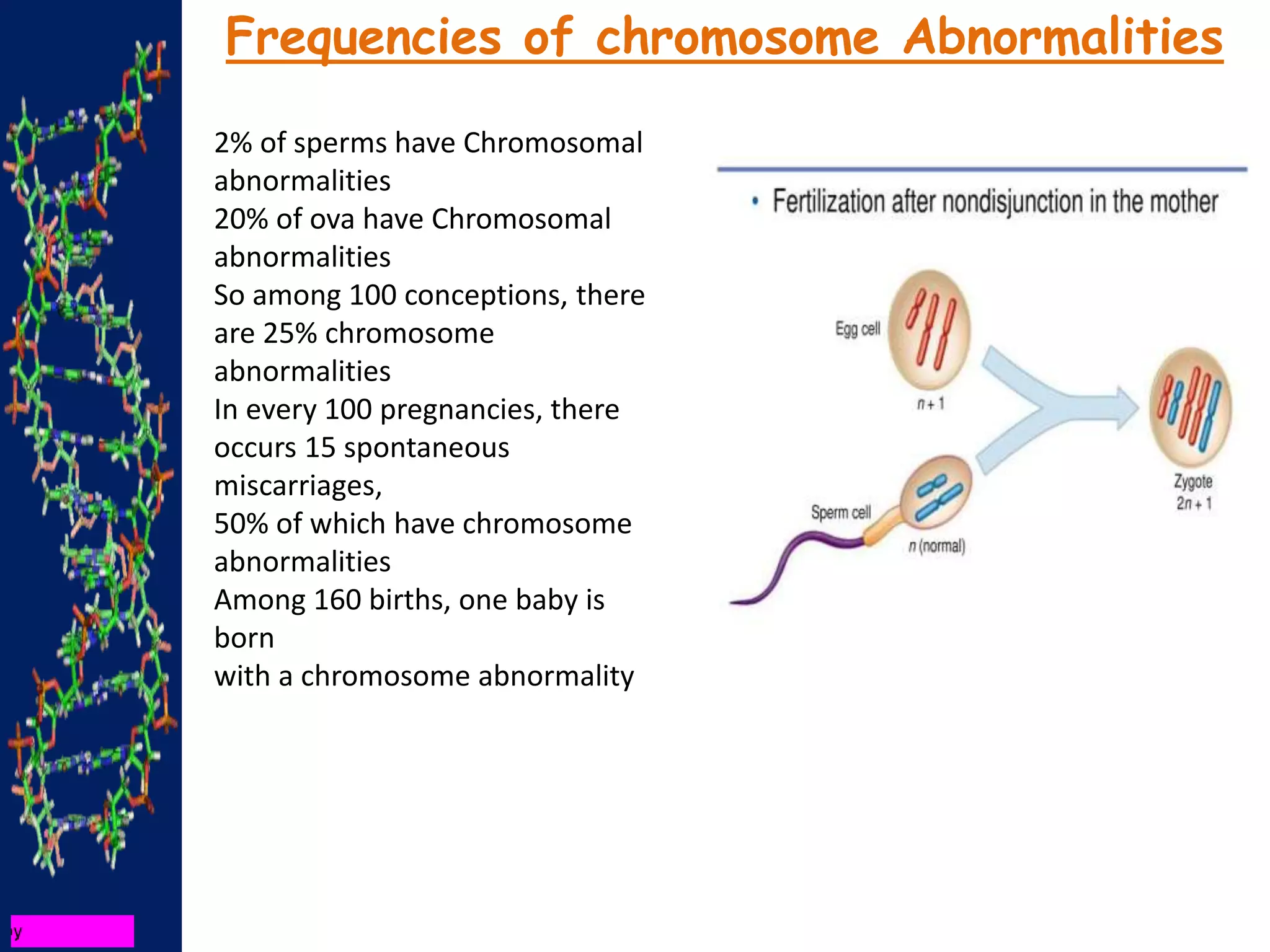 2% of sperms have Chromosomal
abnormalities
20% of ova have Chromosomal
abnormalities
So among 100 conceptions, there
are 25% chromosome
abnormalities
In every 100 pregnancies, there
occurs 15 spontaneous
miscarriages,
50% of which have chromosome
abnormalities
Among 160 births, one baby is
born
with a chromosome abnormality
Frequencies of chromosome Abnormalities
 