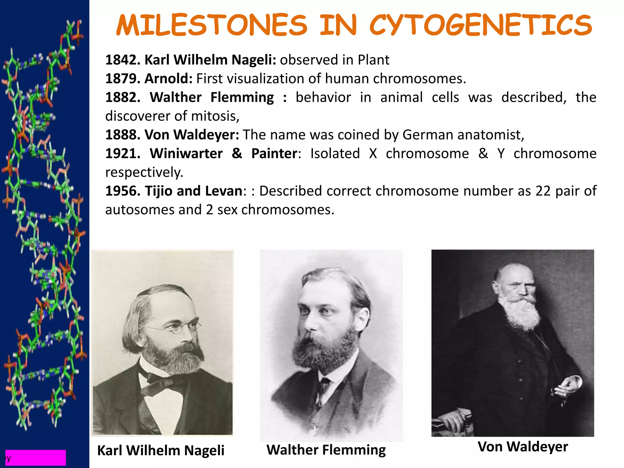 MILESTONES IN CYTOGENETICS
1842. Karl Wilhelm Nageli: observed in Plant
1879. Arnold: First visualization of human chromosomes.
1882. Walther Flemming : behavior in animal cells was described, the
discoverer of mitosis,
1888. Von Waldeyer: The name was coined by German anatomist,
1921. Winiwarter & Painter: Isolated X chromosome & Y chromosome
respectively.
1956. Tijio and Levan: : Described correct chromosome number as 22 pair of
autosomes and 2 sex chromosomes.
Karl Wilhelm Nageli Walther Flemming Von Waldeyer
 