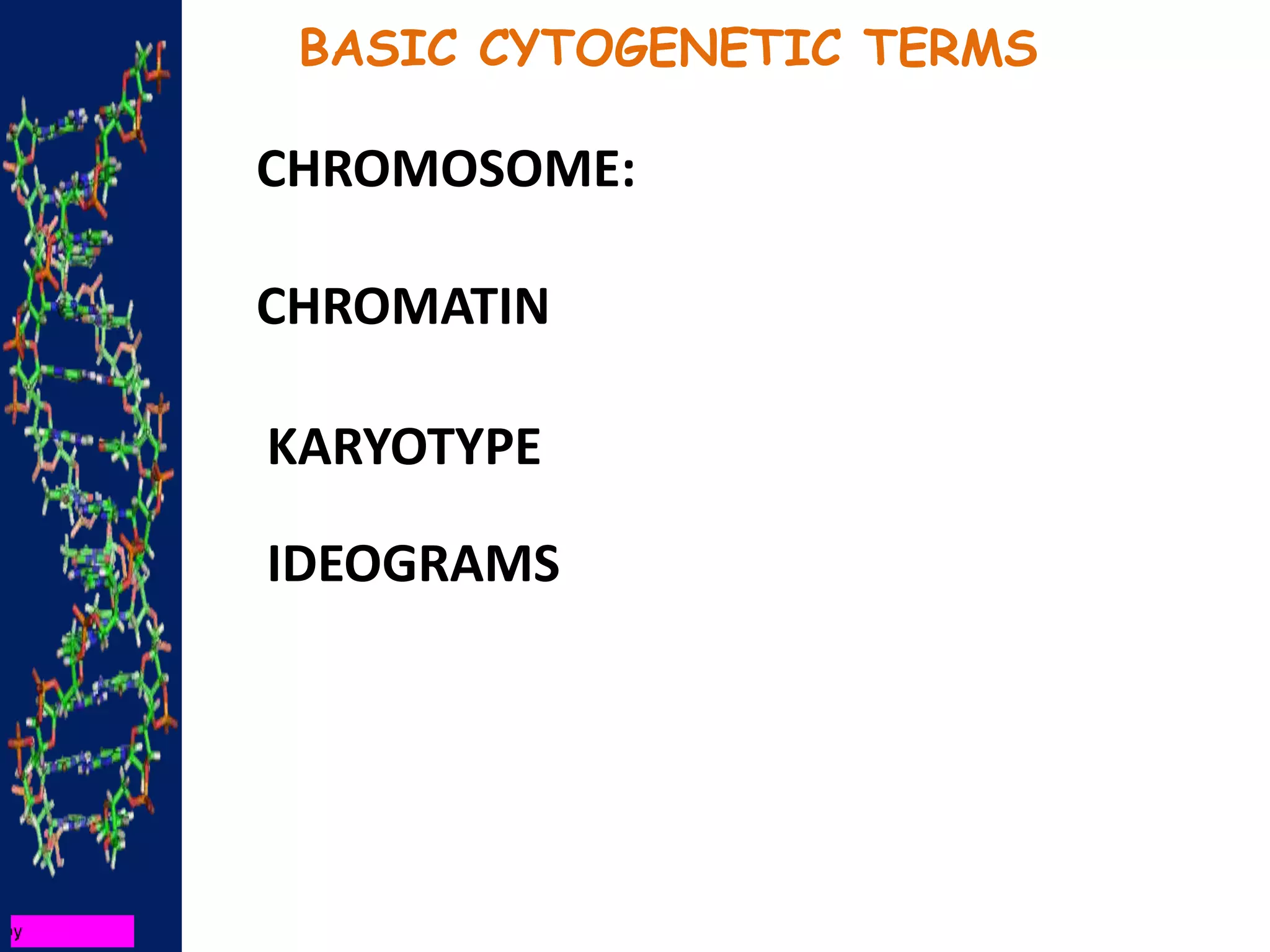 BASIC CYTOGENETIC TERMS
CHROMOSOME:
CHROMATIN
KARYOTYPE
IDEOGRAMS
 