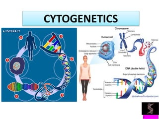 Introduction to Basic Cytogenetics by Tanzeel Rehman | PPTX