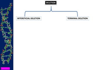 DELETION
INTERSTICIAL DELETION TERMINAL DELETION
 