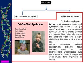 DELETION
INTERSTICIAL DELETION TERMINAL DELETION
Cri du chat syndrome
Cri du chat syndrome (cat's cry)
syndrome, also known as 5p- (5p
minus) syndrome, is a chromosomal
condition that results when a piece of
chromosome 5 is missing. Infants with
this condition often have a high-
pitched cry that sounds like that of a
cat.
mental retardation, delayed
development, distinctive facial
features, small head size
(microcephaly), widely-spaced eyes
(hypertelorism), low birth weight and
weak muscle tone (hypotonia) in
infancy.
 