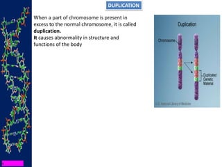 DUPLICATION
When a part of chromosome is present in
excess to the normal chromosome, it is called
duplication.
It causes abnormality in structure and
functions of the body
 