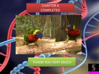 CHAPTER 6
COMPLETED
THANK YOU VERY MUCH
 