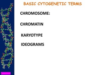BASIC CYTOGENETIC TERMS
CHROMOSOME:
CHROMATIN
KARYOTYPE
IDEOGRAMS
 