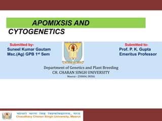 APOMIXSIS AND
CYTOGENETICS
Submitted by- Submitted to-
Suneel Kumar Gautam Prof. P. K. Gupta
Msc.(Ag) GPB 1st Sem Emeritus Professor
Department of Genetics and Plant Breeding
CH. CHARAN SINGH UNIVERSITY
Meerut - 250004, INDIA
 