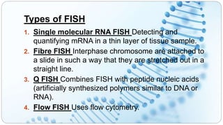 Intorduction to Cytogenetics | PPTX