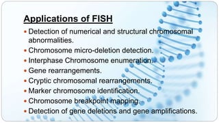 Fish Enumeration Intorduction to Cytogenetics | PPTX