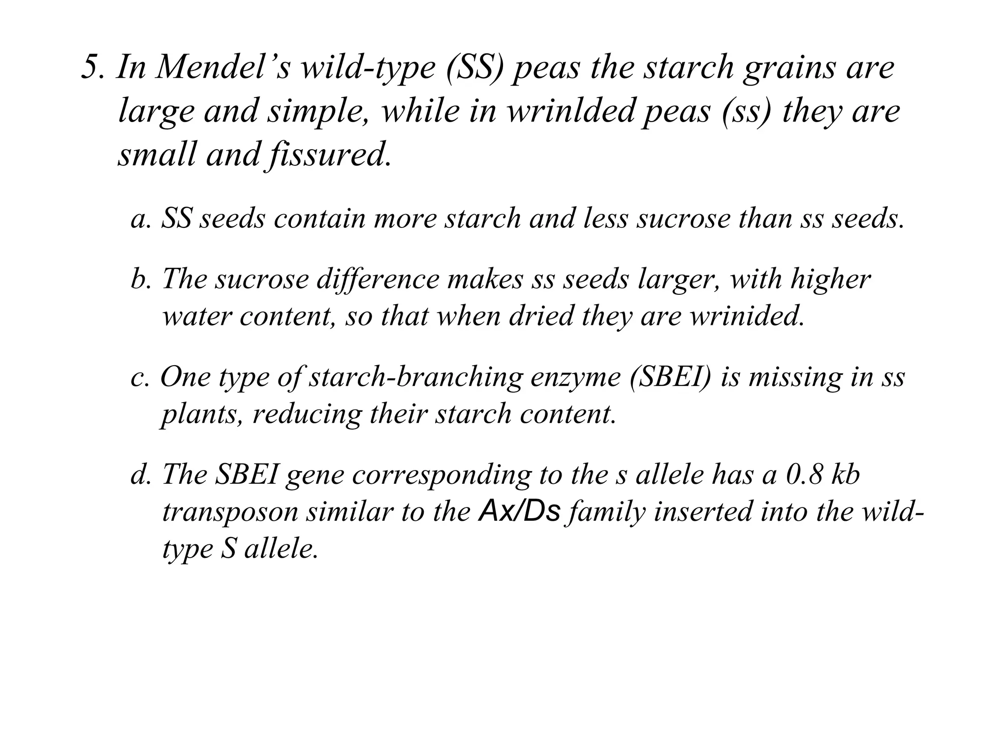 Chapter 20 slide 26
5. In Mendel’s wild-type (SS) peas the starch grains are
large and simple, while in wrinlded peas (ss) they are
small and fissured.
a. SS seeds contain more starch and less sucrose than ss seeds.
b. The sucrose difference makes ss seeds larger, with higher
water content, so that when dried they are wrinided.
c. One type of starch-branching enzyme (SBEI) is missing in ss
plants, reducing their starch content.
d. The SBEI gene corresponding to the s allele has a 0.8 kb
transposon similar to the Ax/Ds family inserted into the wild-
type S allele.
 