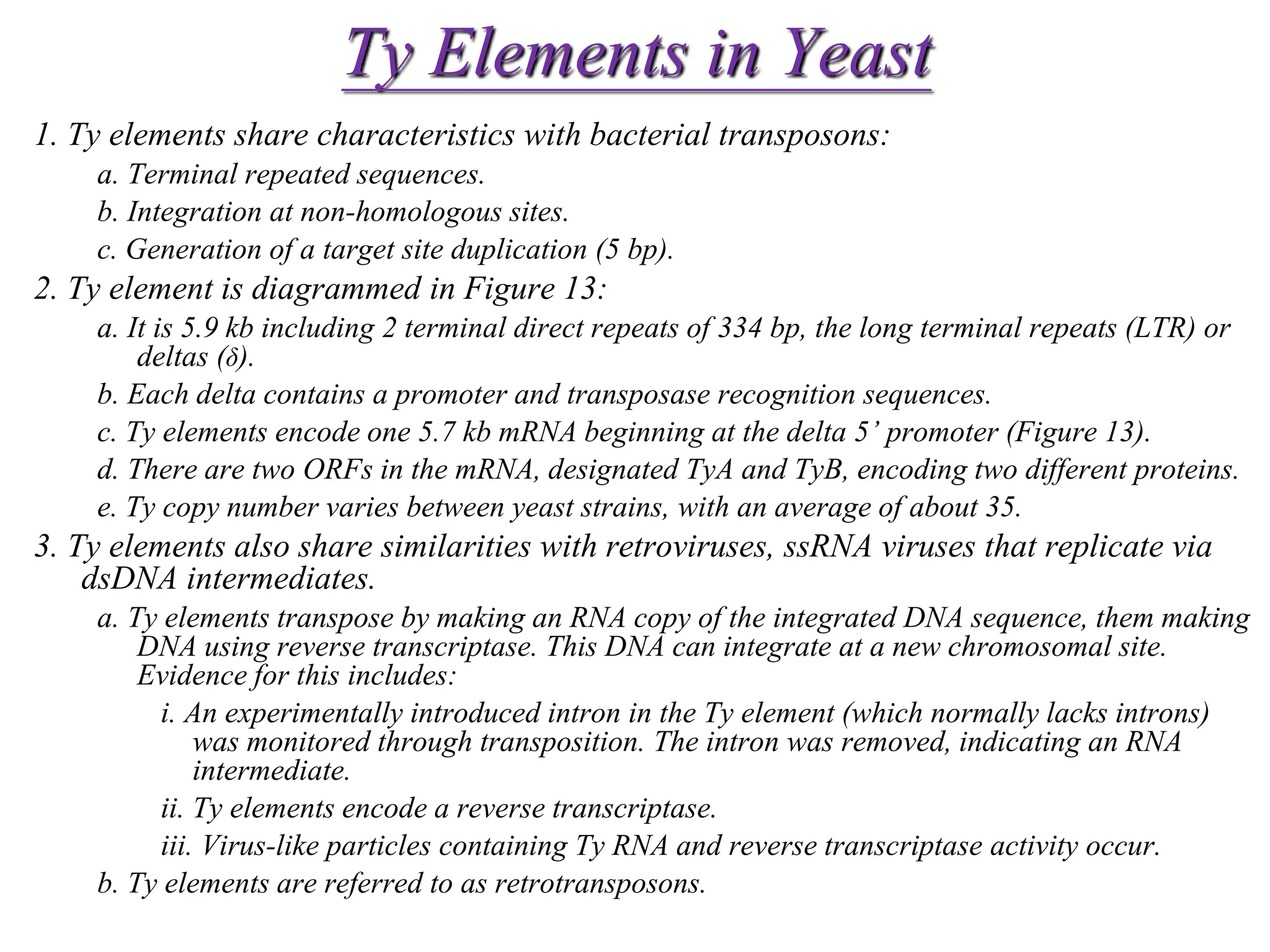 Chapter 20 slide 27
Ty Elements in Yeast
1. Ty elements share characteristics with bacterial transposons:
a. Terminal repeated sequences.
b. Integration at non-homologous sites.
c. Generation of a target site duplication (5 bp).
2. Ty element is diagrammed in Figure 13:
a. It is 5.9 kb including 2 terminal direct repeats of 334 bp, the long terminal repeats (LTR) or
deltas (δ).
b. Each delta contains a promoter and transposase recognition sequences.
c. Ty elements encode one 5.7 kb mRNA beginning at the delta 5’ promoter (Figure 13).
d. There are two ORFs in the mRNA, designated TyA and TyB, encoding two different proteins.
e. Ty copy number varies between yeast strains, with an average of about 35.
3. Ty elements also share similarities with retroviruses, ssRNA viruses that replicate via
dsDNA intermediates.
a. Ty elements transpose by making an RNA copy of the integrated DNA sequence, them making
DNA using reverse transcriptase. This DNA can integrate at a new chromosomal site.
Evidence for this includes:
i. An experimentally introduced intron in the Ty element (which normally lacks introns)
was monitored through transposition. The intron was removed, indicating an RNA
intermediate.
ii. Ty elements encode a reverse transcriptase.
iii. Virus-like particles containing Ty RNA and reverse transcriptase activity occur.
b. Ty elements are referred to as retrotransposons.
 