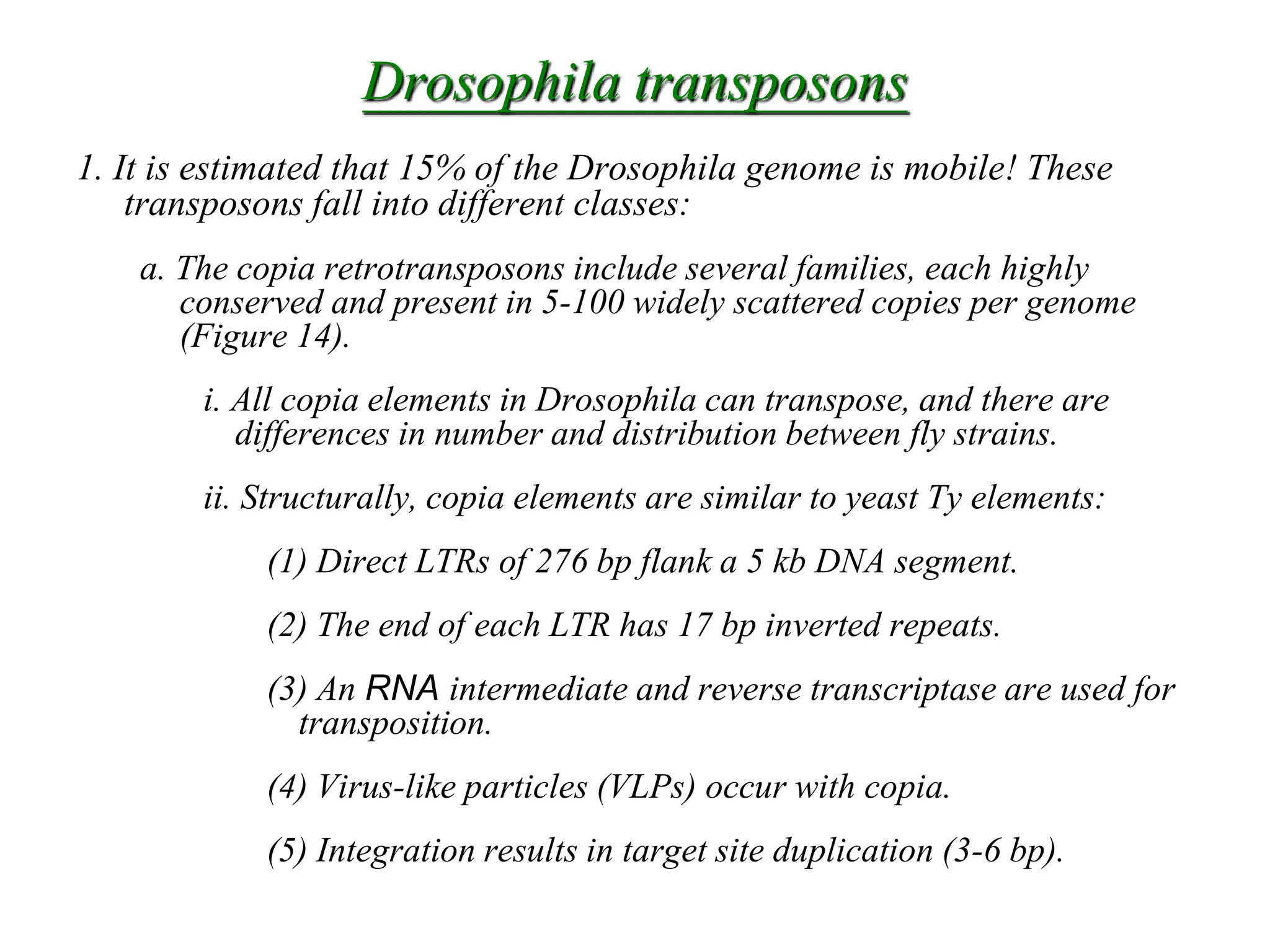 Chapter 20 slide 29
Drosophila transposons
1. It is estimated that 15% of the Drosophila genome is mobile! These
transposons fall into different classes:
a. The copia retrotransposons include several families, each highly
conserved and present in 5-100 widely scattered copies per genome
(Figure 14).
i. All copia elements in Drosophila can transpose, and there are
differences in number and distribution between fly strains.
ii. Structurally, copia elements are similar to yeast Ty elements:
(1) Direct LTRs of 276 bp flank a 5 kb DNA segment.
(2) The end of each LTR has 17 bp inverted repeats.
(3) An RNA intermediate and reverse transcriptase are used for
transposition.
(4) Virus-like particles (VLPs) occur with copia.
(5) Integration results in target site duplication (3-6 bp).
 