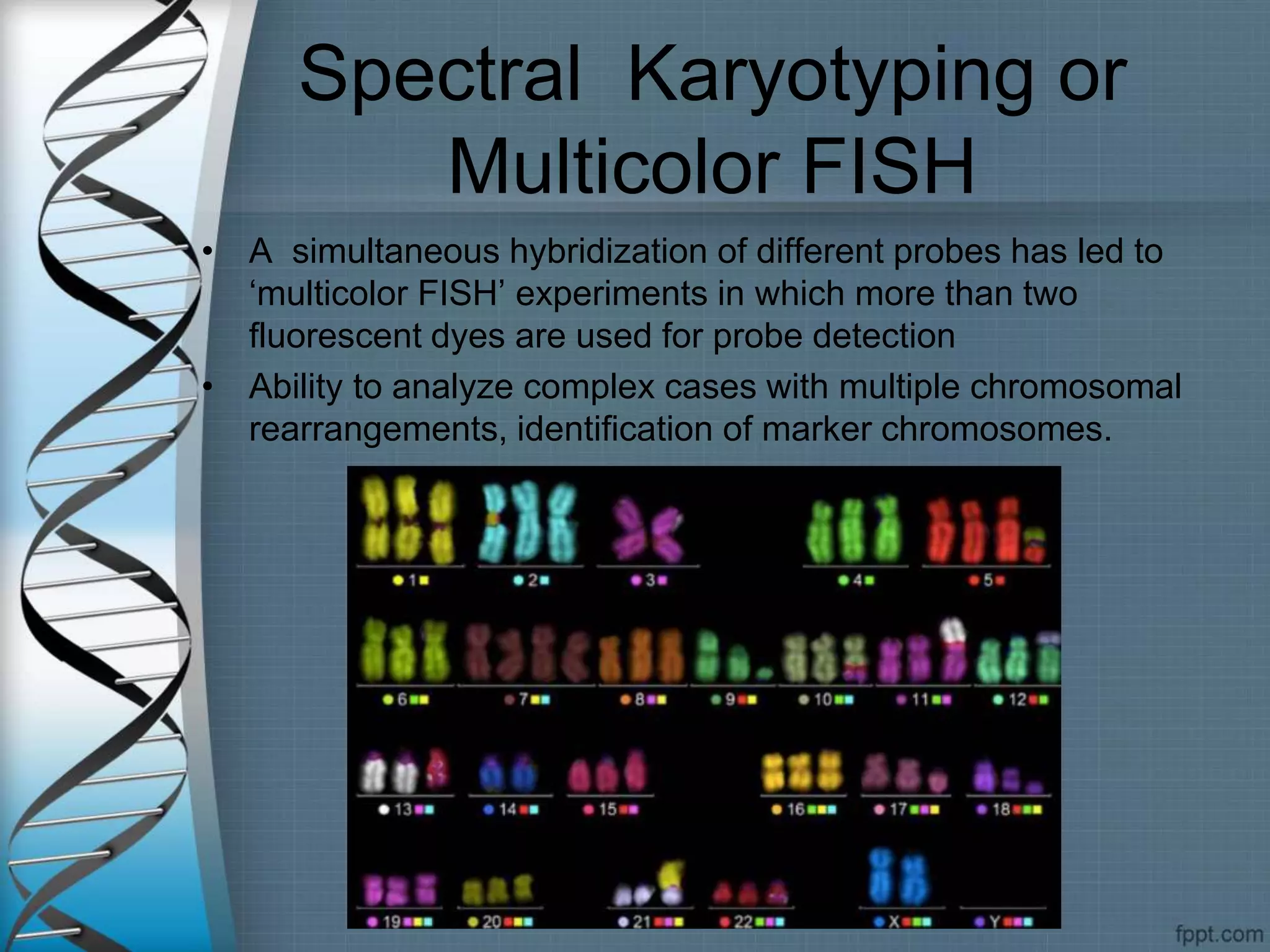 Cytogenetic techniques | PPT