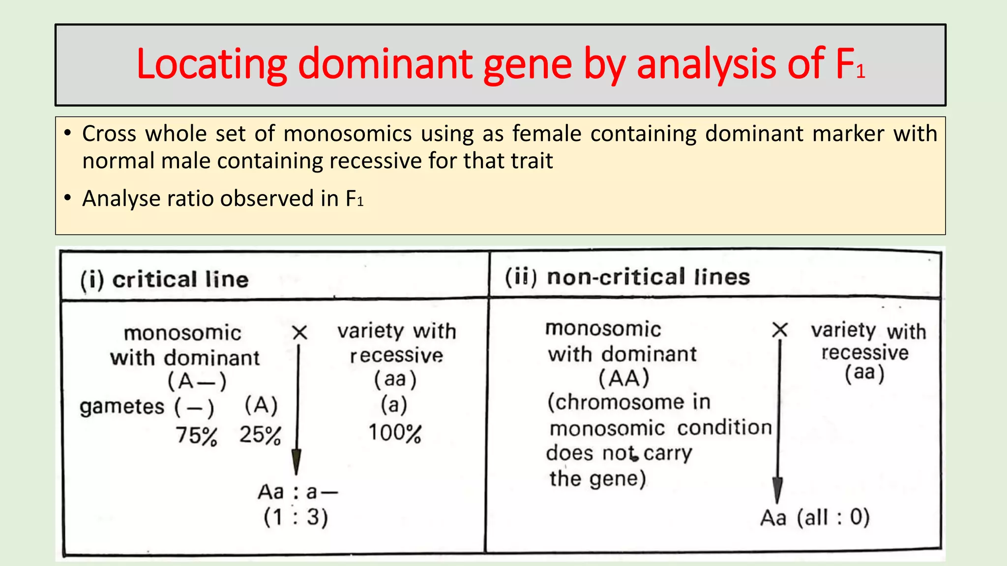 Cytogenetic techniques for gene location and transfer | PPTX