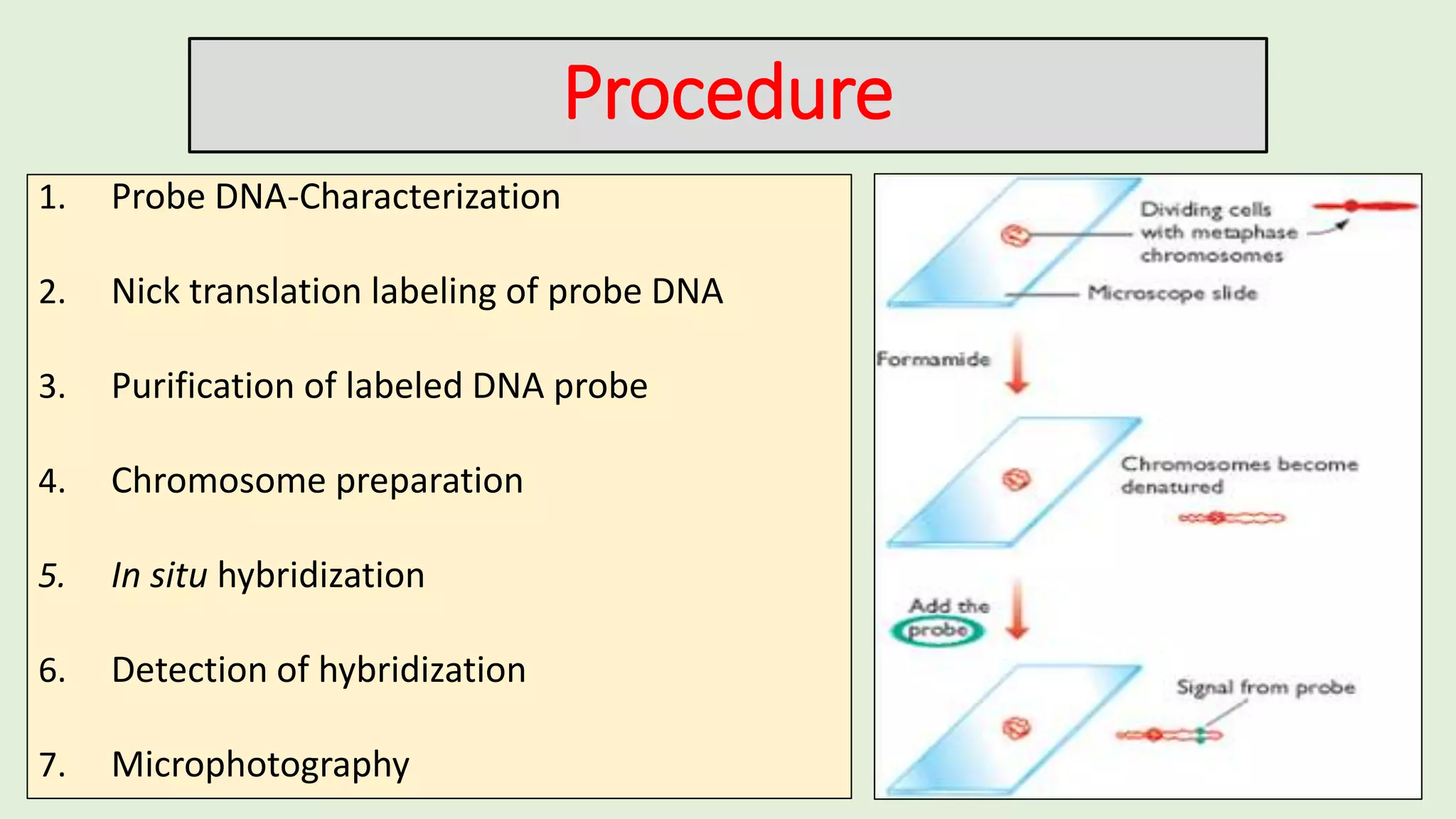 Cytogenetic techniques for gene location and transfer | PPTX