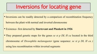 Cytogenetic techniques for gene location and transfer | PPTX