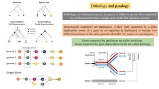Ortholog Examples cytogenomics tools and techniques and chromosome sorting.pptx
