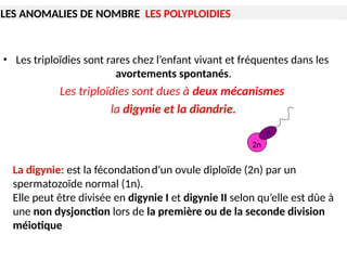 Cytogénétique et ANOMALIES CHROMOSOMIQUES 1ère Année Médecine 2025.pptx