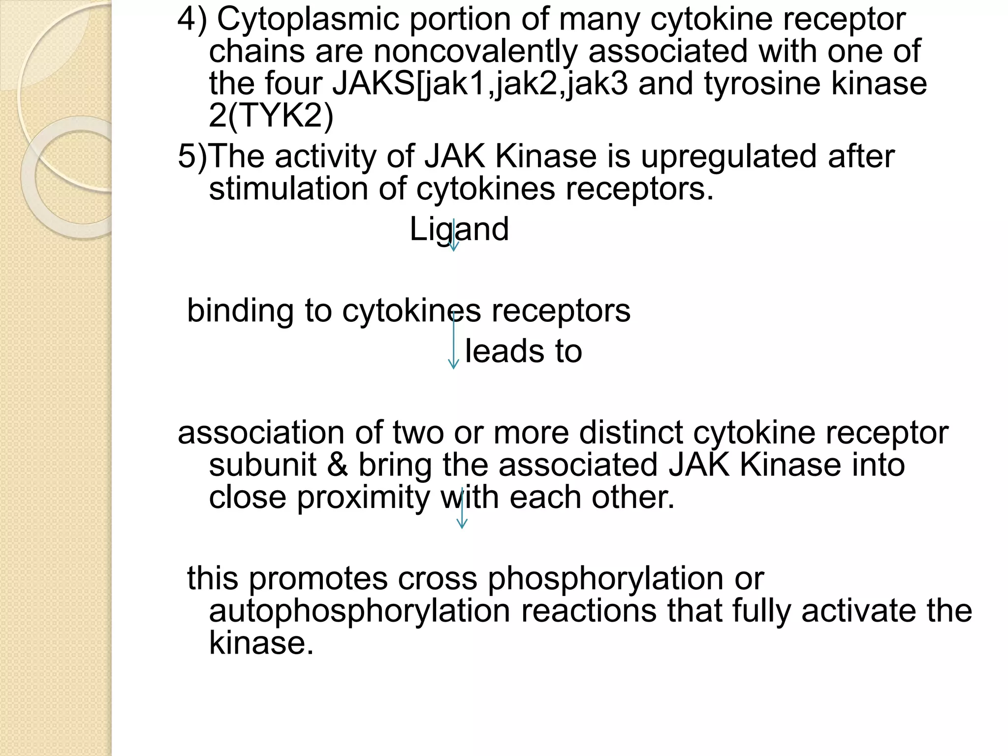 Cytokine and chemokines ppt | PPTX