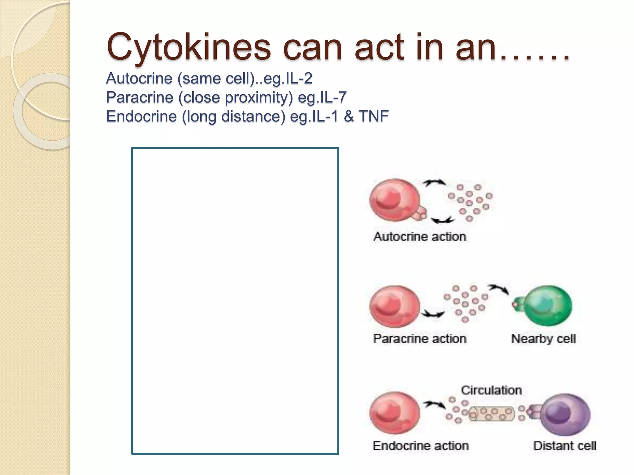 Cytokines And Chemokines Definition – KQZIQ