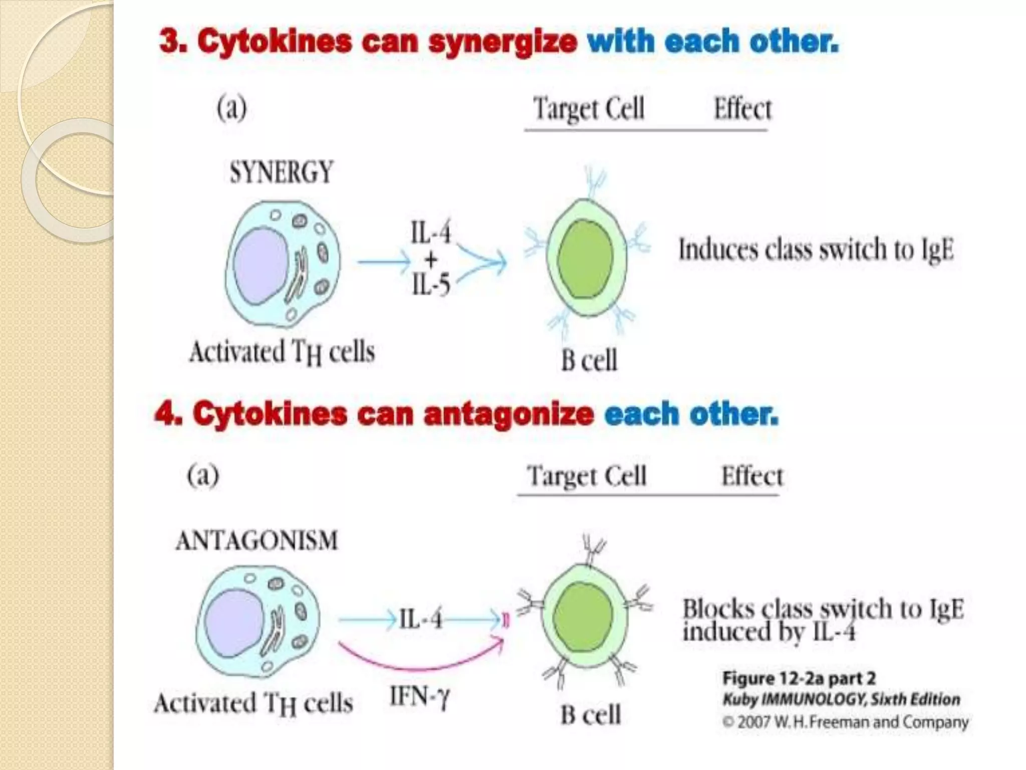 Cytokine and chemokines ppt | PPTX