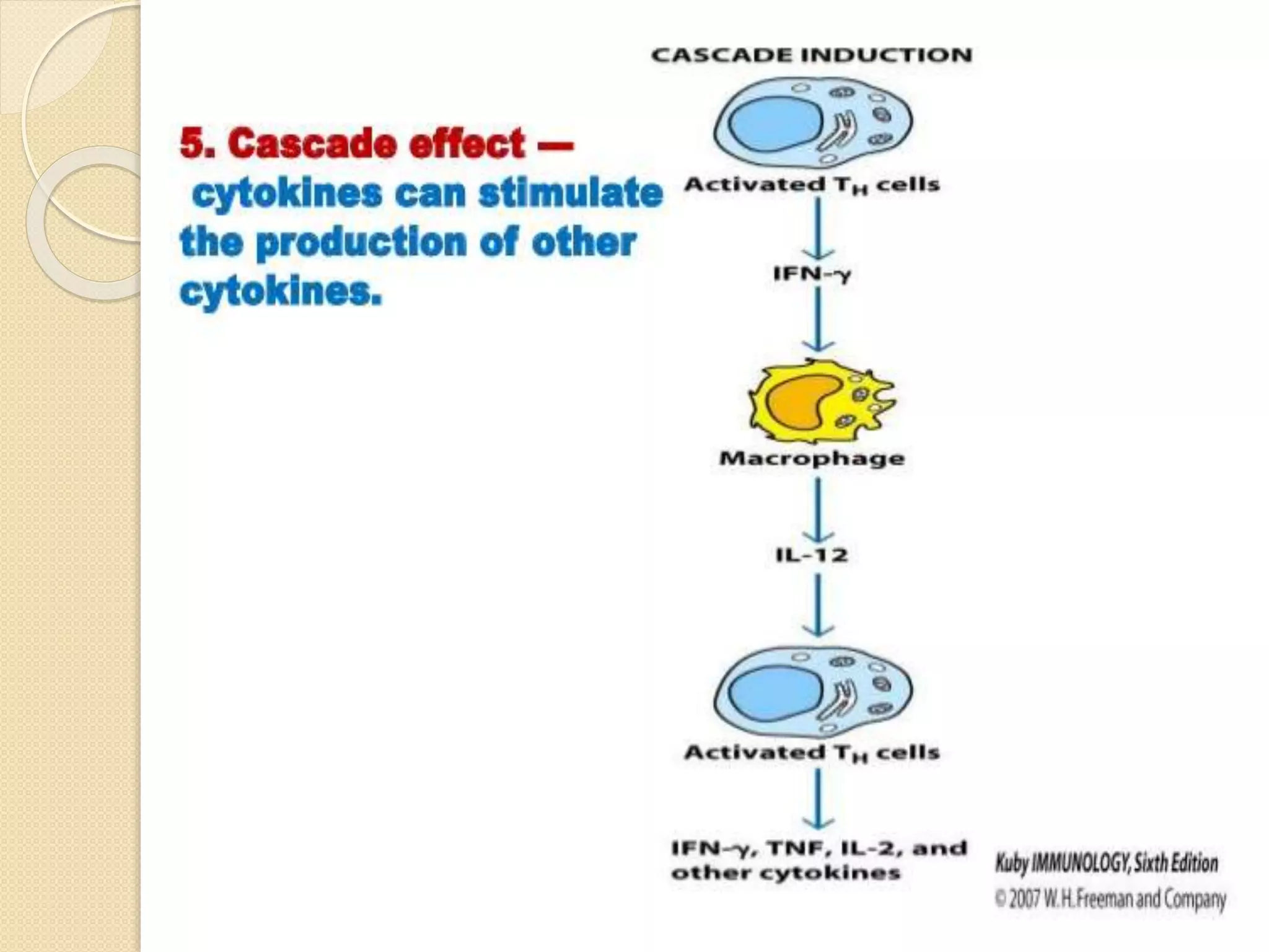 Cytokine and chemokines ppt | PPTX