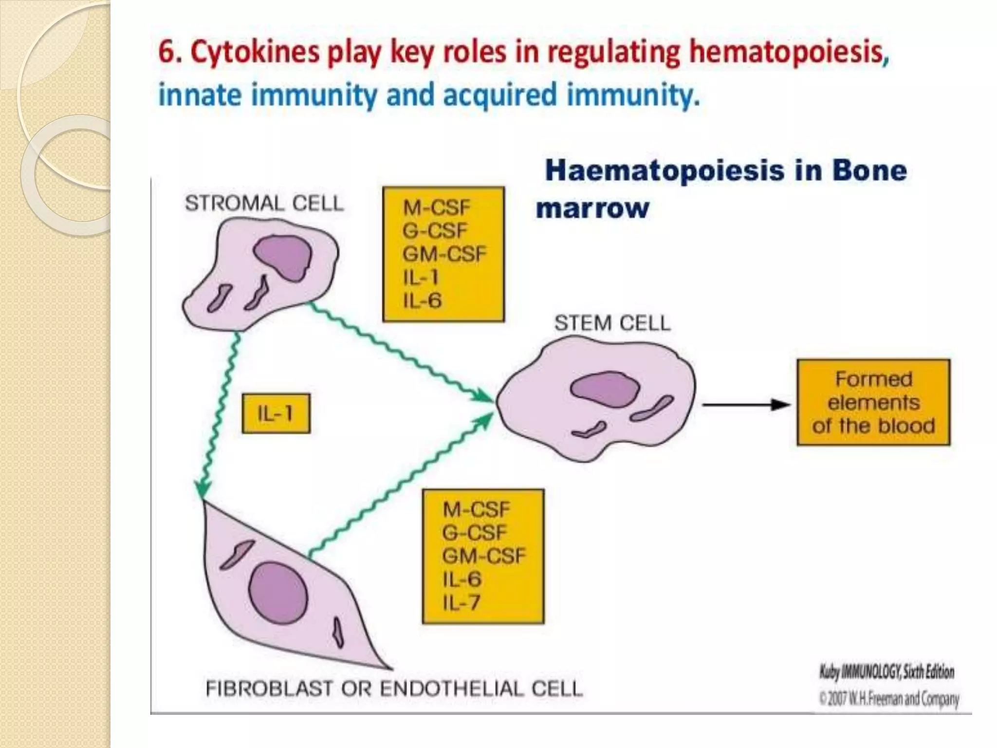 Cytokine and chemokines ppt | PPTX