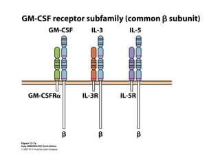 Cytokines | PPT