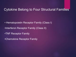Cytokine Belong to Four Structural Families
• Hematopoietin Receptor Family (Class I)
•Interferon Receptor Family (Class II)
•TNF Receptor Family
•Chemokine Receptor Family
 