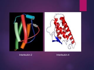 Interleukin-2 Interleukin-4
 