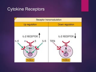 Cytokine Receptors
 