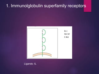 1. Immunolglobulin superfamily receptors
Ligands- IL
 