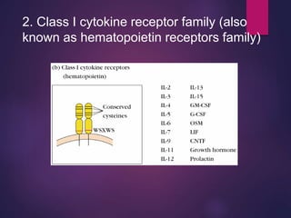 2. Class I cytokine receptor family (also
known as hematopoietin receptors family)
 