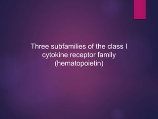 Three subfamilies of the class I
cytokine receptor family
(hematopoietin)
 
