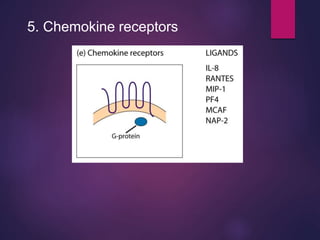 5. Chemokine receptors
 