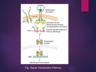 Fig:- Signal Transduction Pathway
 