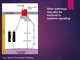 Other pathways
may also be
involved in
cytokine signaling
Fig:- Signal Transduction Pathway
 