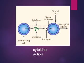 cytokine
action
 