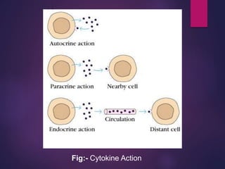 Fig:- Cytokine Action
 