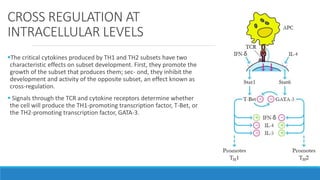 CROSS REGULATION AT
INTRACELLULAR LEVELS
The critical cytokines produced by TH1 and TH2 subsets have two
characteristic effects on subset development. First, they promote the
growth of the subset that produces them; sec- ond, they inhibit the
development and activity of the opposite subset, an effect known as
cross-regulation.
 Signals through the TCR and cytokine receptors determine whether
the cell will produce the TH1-promoting transcription factor, T-Bet, or
the TH2-promoting transcription factor, GATA-3.
 