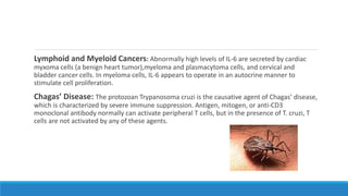 Lymphoid and Myeloid Cancers: Abnormally high levels of IL-6 are secreted by cardiac
myxoma cells (a benign heart tumor),myeloma and plasmacytoma cells, and cervical and
bladder cancer cells. In myeloma cells, IL-6 appears to operate in an autocrine manner to
stimulate cell proliferation.
Chagas’ Disease: The protozoan Trypanosoma cruzi is the causative agent of Chagas’ disease,
which is characterized by severe immune suppression. Antigen, mitogen, or anti-CD3
monoclonal antibody normally can activate peripheral T cells, but in the presence of T. cruzi, T
cells are not activated by any of these agents.
 