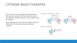 CYTOKINE BASED THERAPIES
(a) The anti-IL-2R monoclonal antibody binds to
the cytokine receptor (IL-2R) on the cell surface,
thereby preventing interaction of the cytokine with
its receptor.
(b) Conjugation of a toxin with a cytokine results in
destruction of cells expressing the cytokine
receptor.
 
