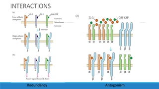 INTERACTIONS
Redundancy Antagonism
 