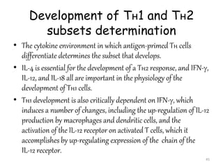 Development of Tн1 and Tн2
subsets determination
• The cytokine environment in which antigen-primed Tн cells
differentiate...