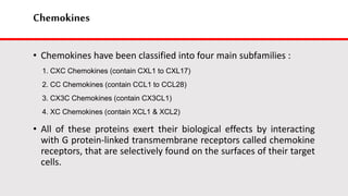 Chemokines
• Chemokines have been classified into four main subfamilies :
1. CXC Chemokines (contain CXL1 to CXL17)
2. CC Chemokines (contain CCL1 to CCL28)
3. CX3C Chemokines (contain CX3CL1)
4. XC Chemokines (contain XCL1 & XCL2)
• All of these proteins exert their biological effects by interacting
with G protein-linked transmembrane receptors called chemokine
receptors, that are selectively found on the surfaces of their target
cells.
 