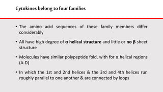 Cytokines belong to four families
• The amino acid sequences of these family members differ
considerably
• All have high degree of α helical structure and little or no β sheet
structure
• Molecules have similar polypeptide fold, with for α helical regions
(A-D)
• In which the 1st and 2nd helices & the 3rd and 4th helices run
roughly parallel to one another & are connected by loops
 
