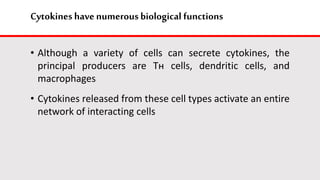 Cytokines havenumerous biological functions
• Although a variety of cells can secrete cytokines, the
principal producers are Tн cells, dendritic cells, and
macrophages
• Cytokines released from these cell types activate an entire
network of interacting cells
 