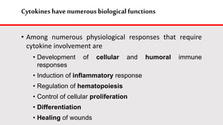 Cytokines havenumerous biological functions
• Among numerous physiological responses that require
cytokine involvement are
• Development of cellular and humoral immune
responses
• Induction of inflammatory response
• Regulation of hematopoiesis
• Control of cellular proliferation
• Differentiation
• Healing of wounds
 