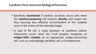 Cytokines havenumerous biological functions
• Specificity maintained if cytokine secretion occurs only when
the cytokine-producing cell interacts directly with target cell,
thus ensuring that effective concentrations of the cytokine
occur in the vicinity of the intended target.
• In case of Tн cell, a major producer of cytokines, cellular
interactions occurs when the T-cell receptor recognizes an
antigen-MHC complex on an appropriate antigen-presenting
cell, such as a macrophage, dendritic cell, or B lymphocyte.
 