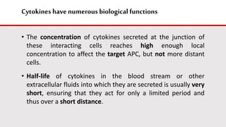 Cytokines havenumerous biological functions
• The concentration of cytokines secreted at the junction of
these interacting cells reaches high enough local
concentration to affect the target APC, but not more distant
cells.
• Half-life of cytokines in the blood stream or other
extracellular fluids into which they are secreted is usually very
short, ensuring that they act for only a limited period and
thus over a short distance.
 